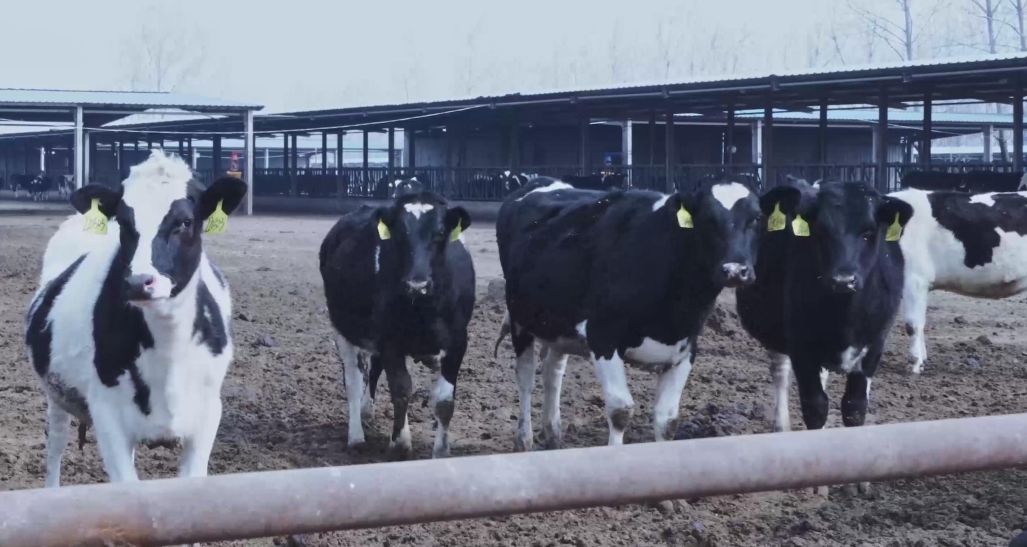 304am永利集团官网(中国)有限公司-Official Website