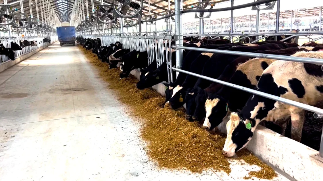 304am永利集团官网(中国)有限公司-Official Website