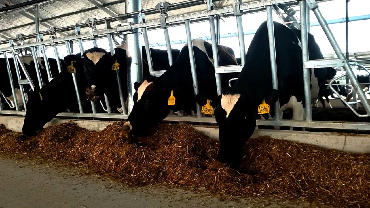 304am永利集团官网(中国)有限公司-Official Website