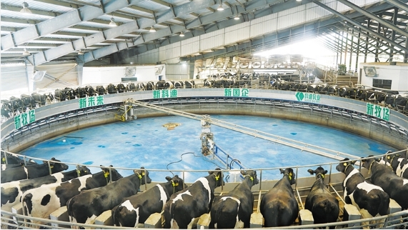 304am永利集团官网(中国)有限公司-Official Website