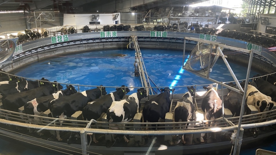 304am永利集团官网(中国)有限公司-Official Website