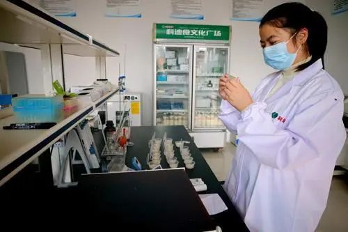 304am永利集团官网(中国)有限公司-Official Website