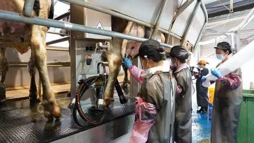 304am永利集团官网(中国)有限公司-Official Website